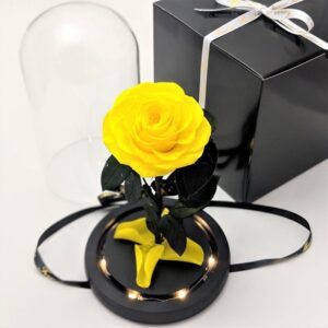 yellow preserved rose