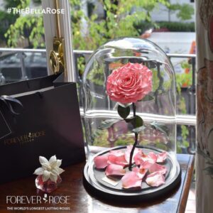 peach preserved rose