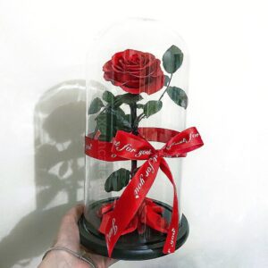 red preserved rose