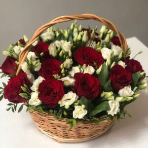 jasmine studio