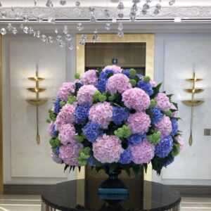 Orchid Opulence